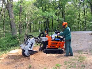 Mllers & Backhaus GmbH & Co. KG : ����� �������������������� ������������ -