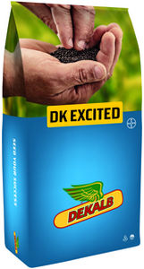 ������ ������ ���� DK EXDEKA ���������� � ����������� ���������� � ������ ���������