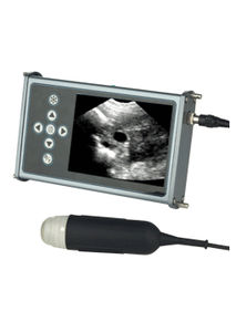 Sonicvet : ���������� ���������� -
