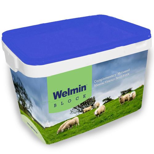 ������� ��� ���� Welmin Sheep Block � ��������������� � ���������� ��� ��������� ������������