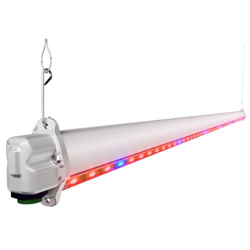 ��������� ��� ��������������� HORTURION LED IL LED ������� �����
