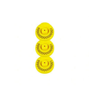 ����� ��� ���� ��� �������� �������� ����� T921-0005
