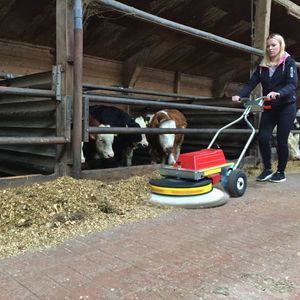 Westermann GmbH & Co. KG : ����� �������������������� ������������ -