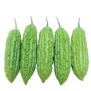 Eastwestseed : ������ � ������ ������� -