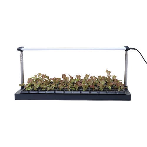 ��������� ��� ��������������� MIRA LED