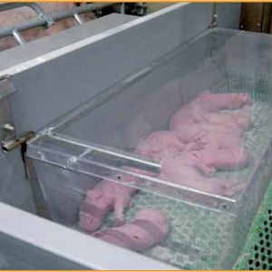 Vereijken Hooijer B.V. (Pro Dromi�) : �������������� -