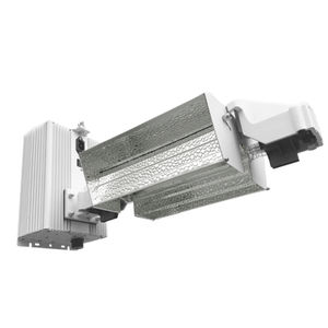 HongYi Lighting Ltd : �������������������� ��������� -