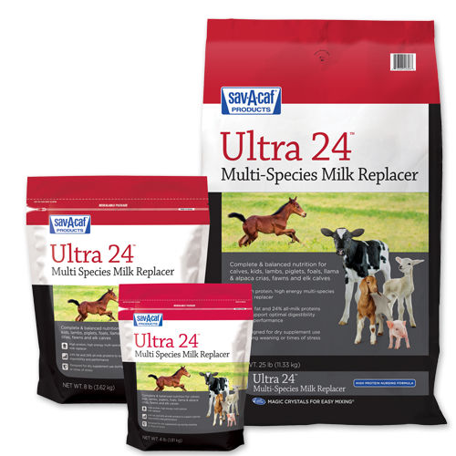���������� ������ ��� ����� Ultra 24� ��� ��� ��� ������� ��� ����