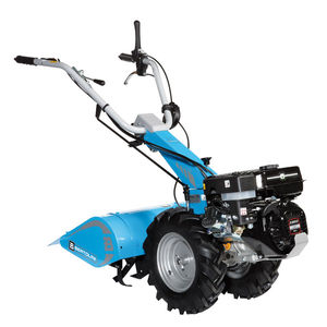Bertolini : ����� �������������������� ������������ -
