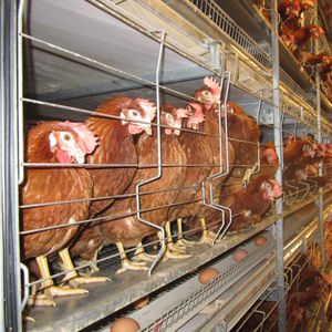 ������� ��� ���������� �����-������� C5