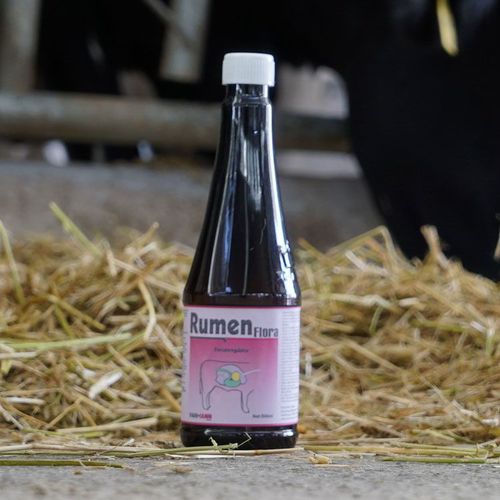 �������� ������� ��� �������� Rumen Flora ��� �������� �������� ����� ��� ���� ��� ���