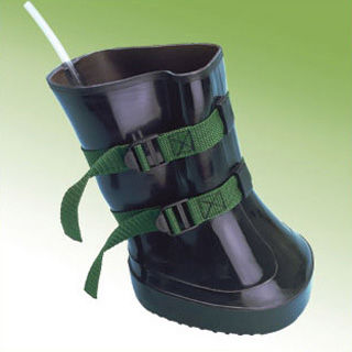 ������� ��� ����� ��� �������� �������� ����� Practic Boot �� �������